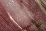 Polished Triassic Petrified Wood Heart - Madagascar #355631-1